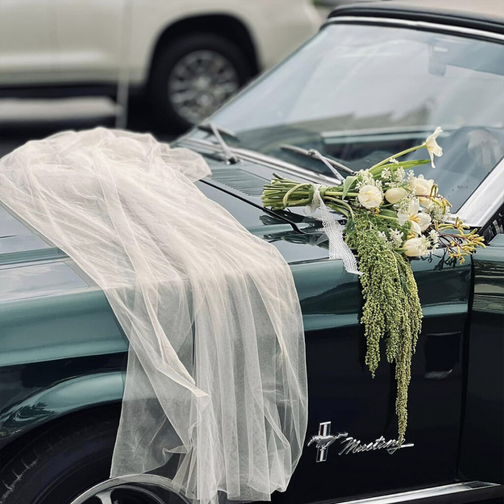 Xe cổ Trường Sơn