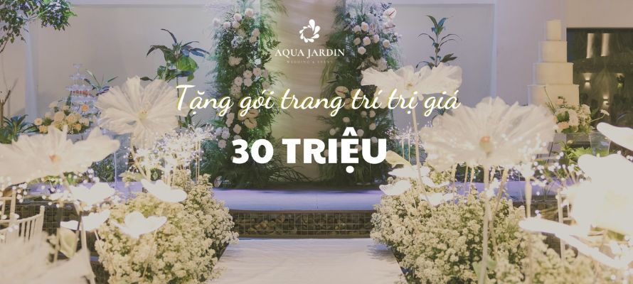 Aqua Jardin thường xuyên có những ưu đãi hấp dẫn cho dâu rể